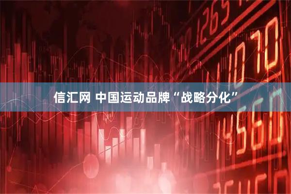 信汇网 中国运动品牌“战略分化”